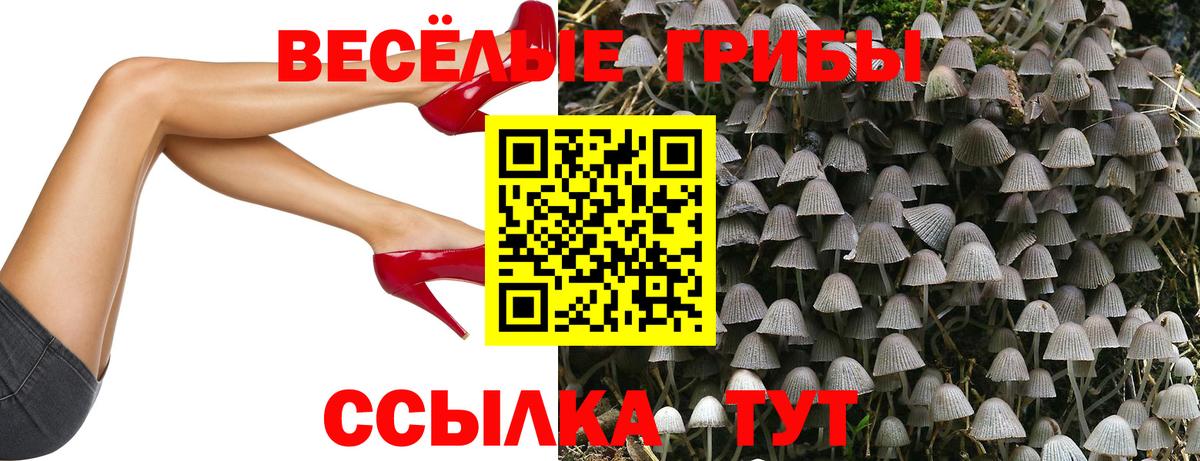 Псилоцибиновые грибы Cubensis  сколько стоит  Топки  Вход с VPN  Галлюциногенные грибы Psilocybe 